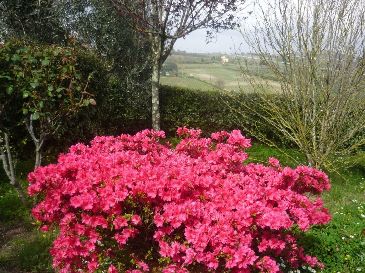 Complesso Colonico Pogginano Pension Pelago Buitenkant foto