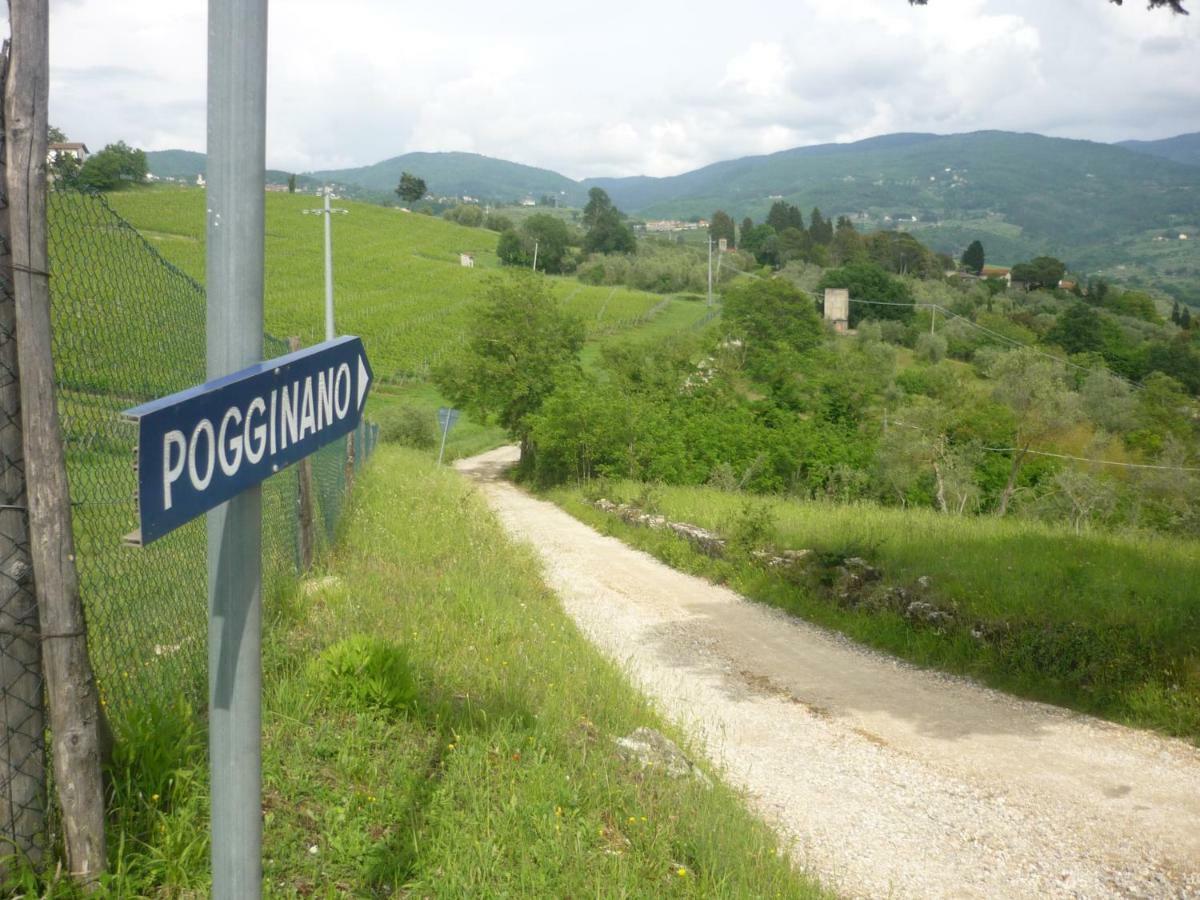 Complesso Colonico Pogginano Pension Pelago Buitenkant foto